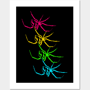 Black widow (Latrodectus) rainbow Posters and Art